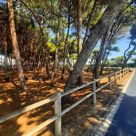 Mare Pt2 - Myho Casa Alba Adriatica