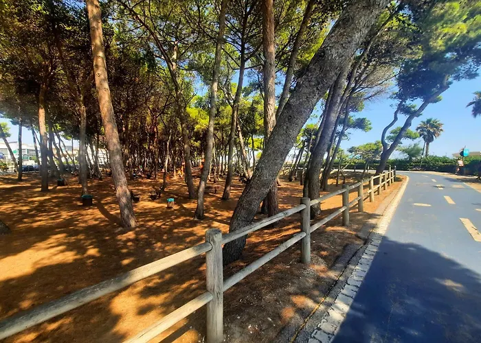 Mare Pt2 - Myho Casa アルバ・アドリアティカ